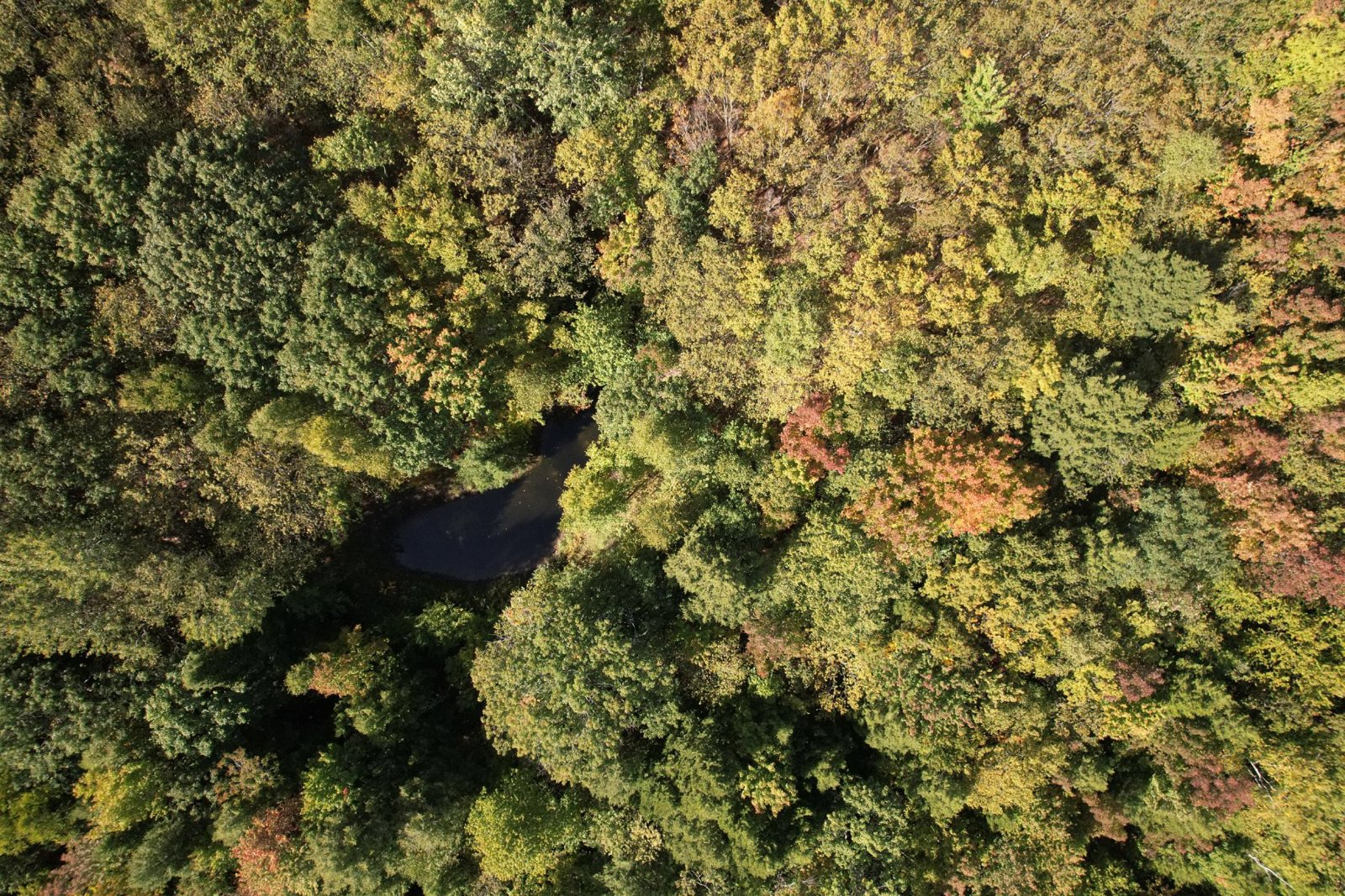 Selected drone photograph — Hallowell drone capture · AD-CCF66D3C