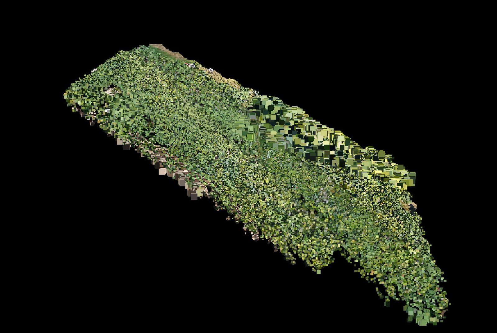 Point-cloud model preview — Topsham drone capture · AD-3966DF38