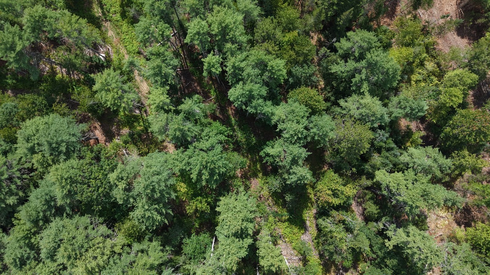 Selected drone photograph — Topsham drone capture · AD-3966DF38