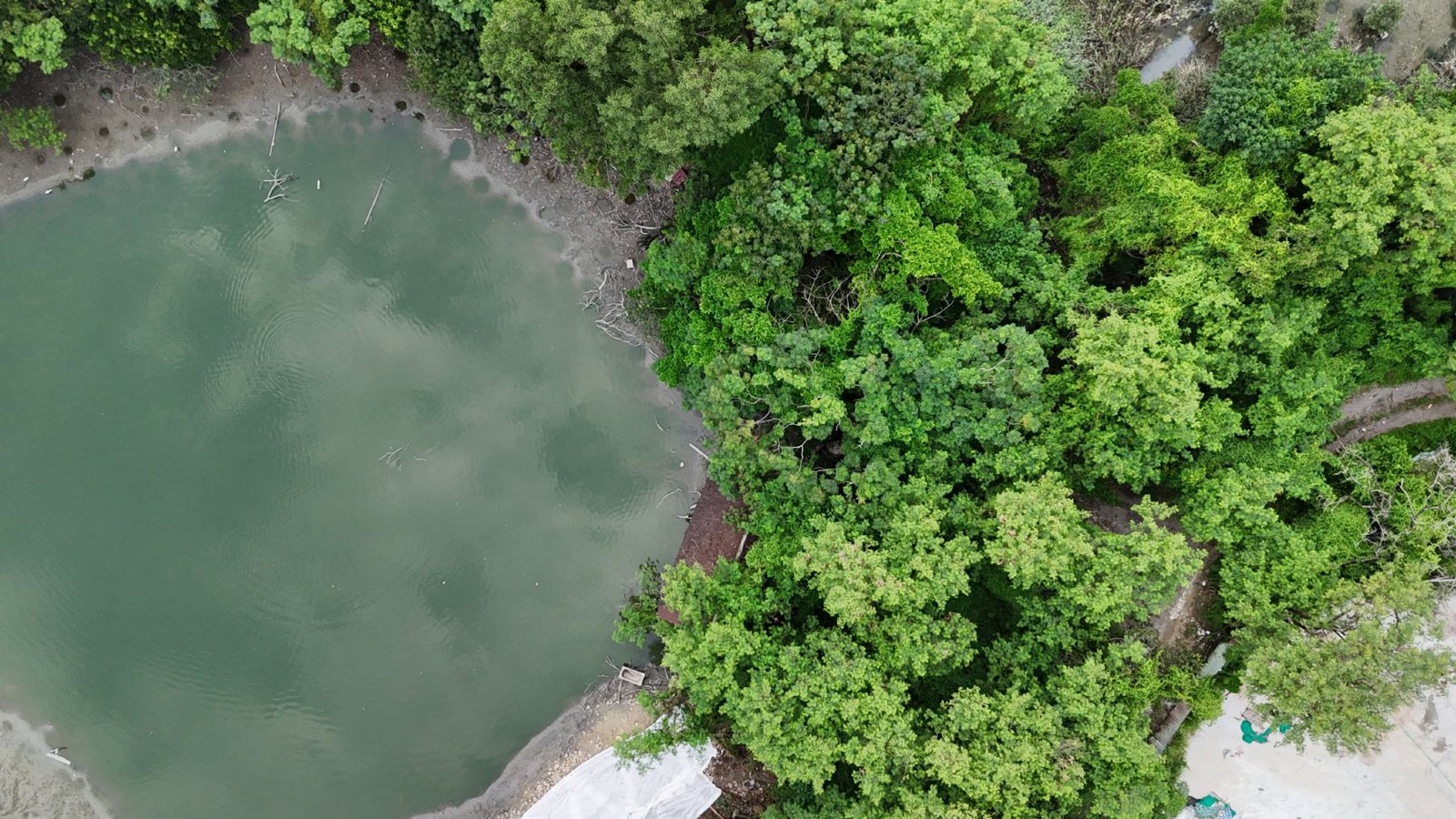 Selected drone photograph — New Territories drone capture · AD-1AE0B55D