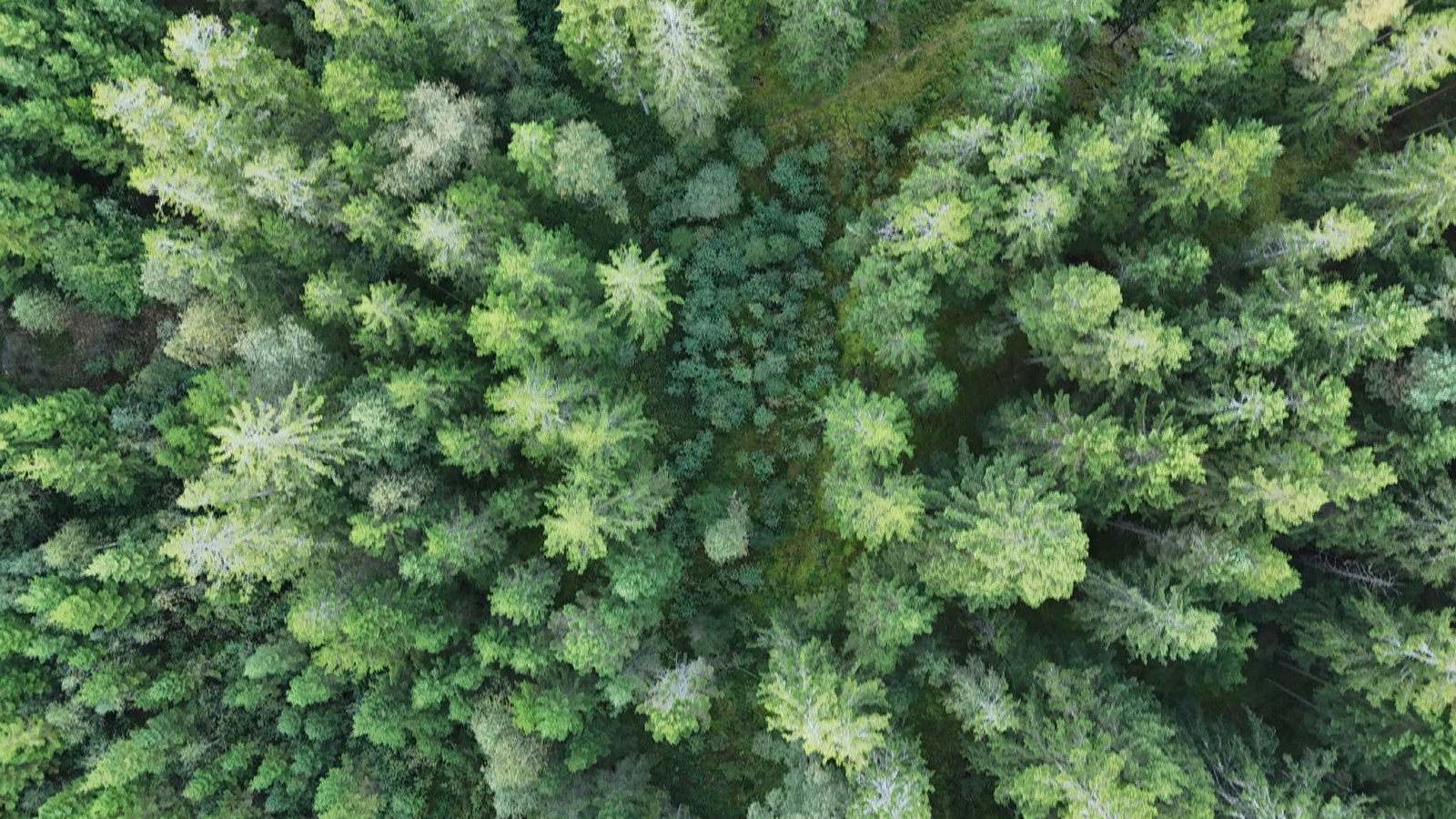 Selected drone photograph — Hallands län drone capture · AD-0EE9FB2A