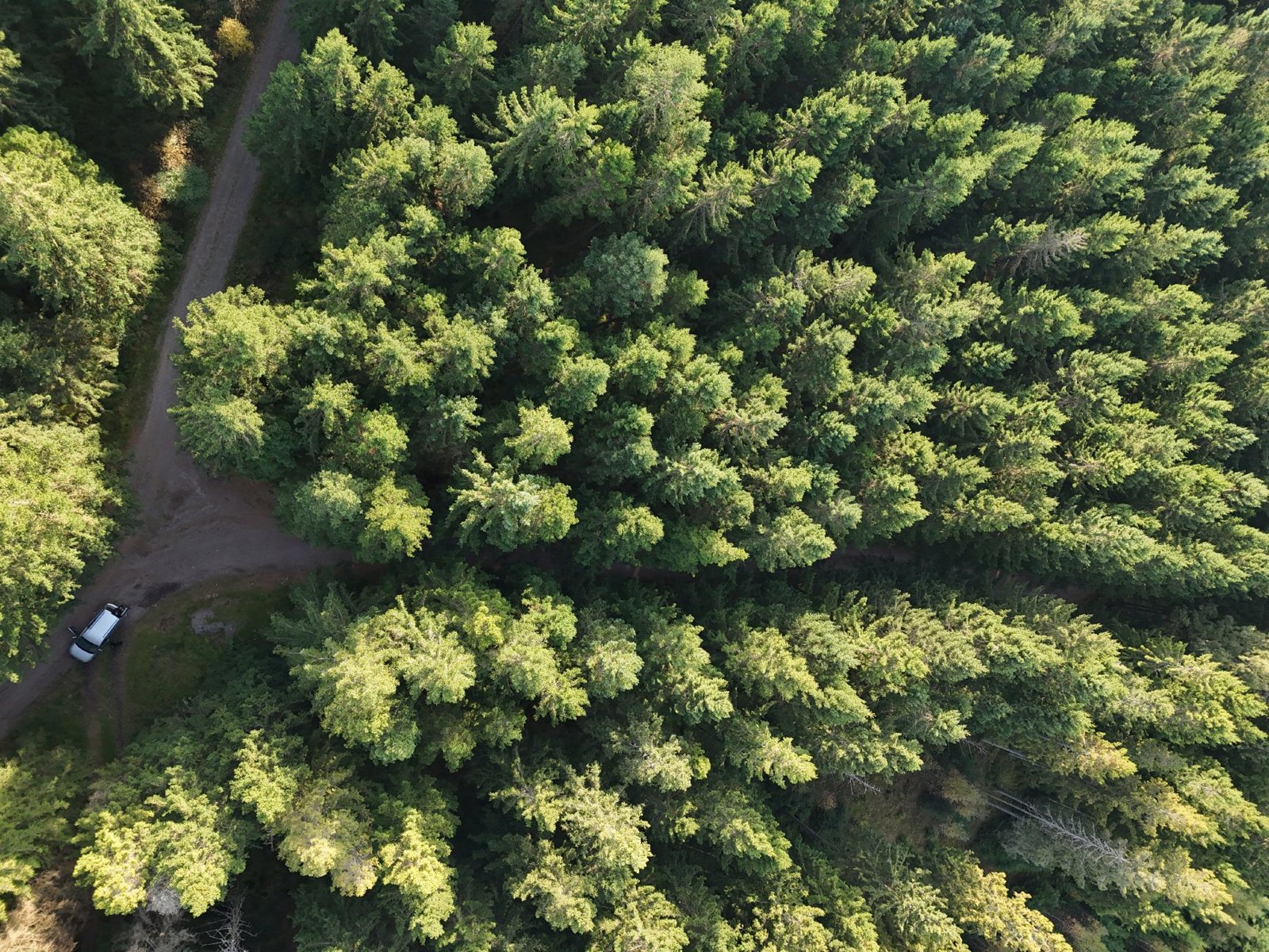 Selected drone photograph — Halland County drone capture · AD-AA45E5D3