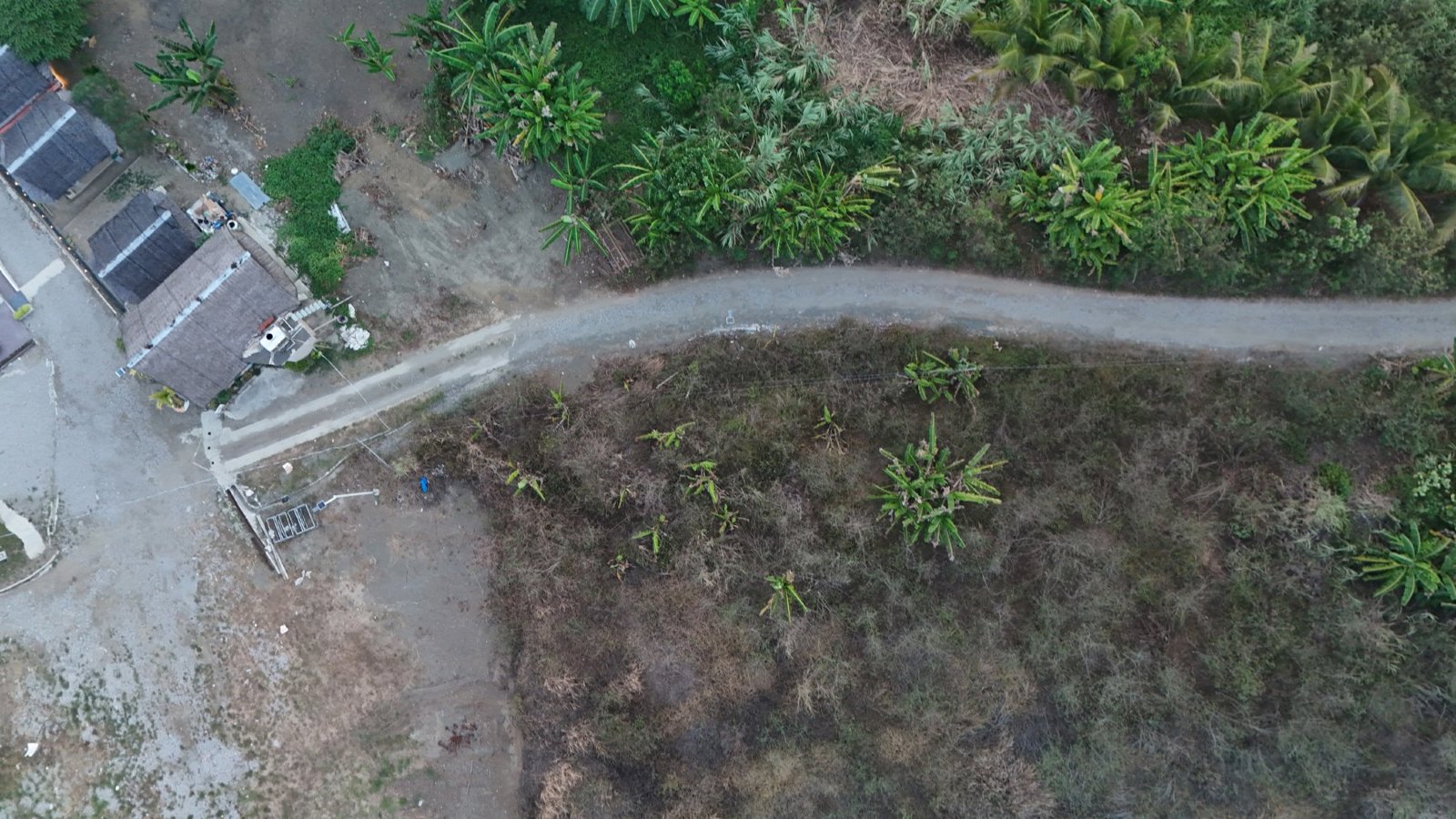 Selected drone photograph — Basey drone capture · AD-6387D502