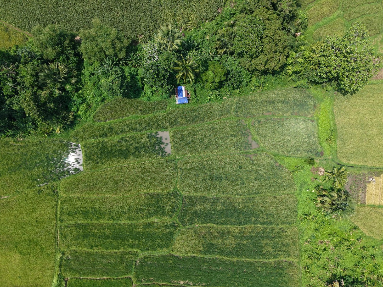 Selected drone photograph — City of Tayabas drone capture · AD-5FFD294C