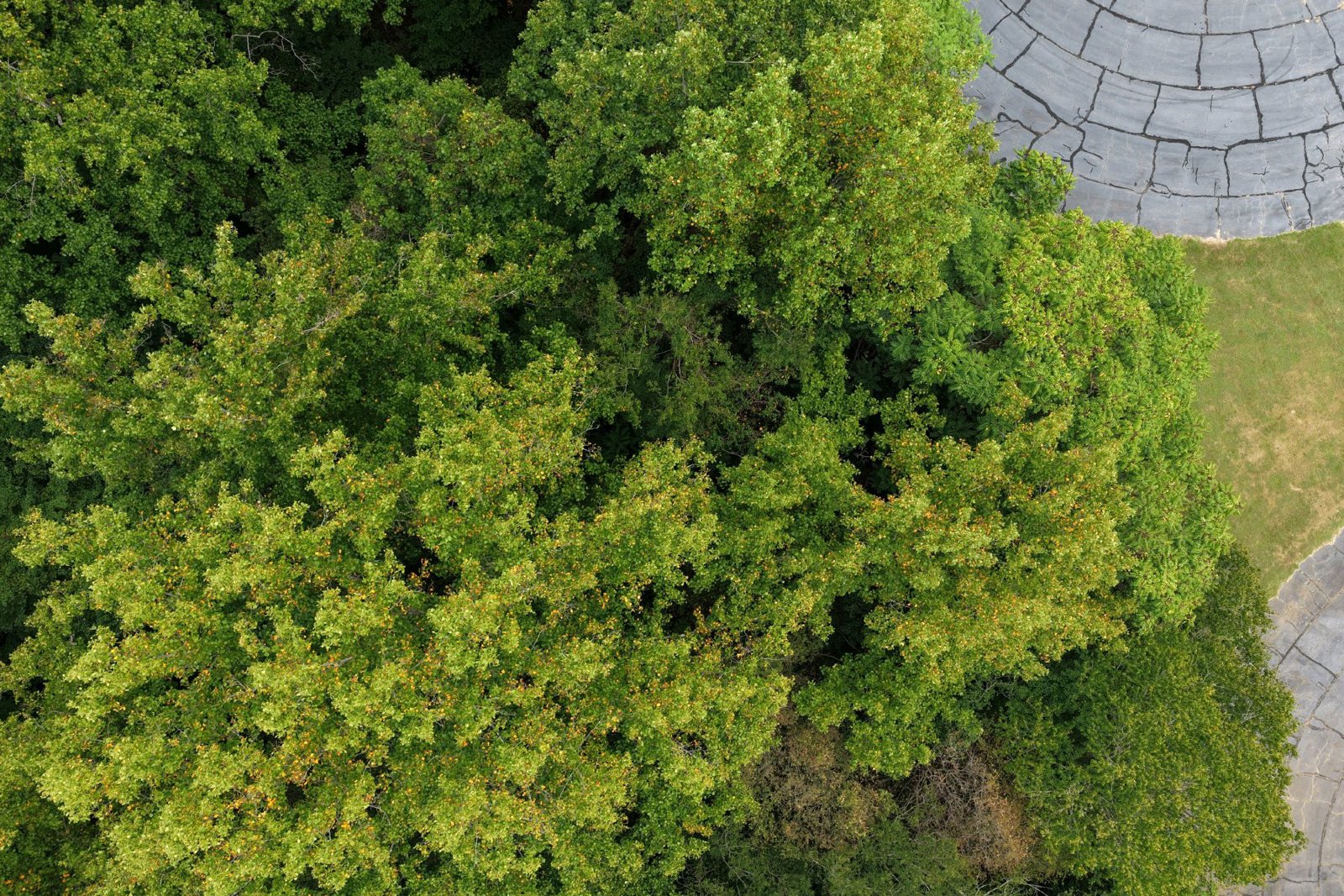 Selected drone photograph — Winston-Salem drone capture · AD-299FCE55