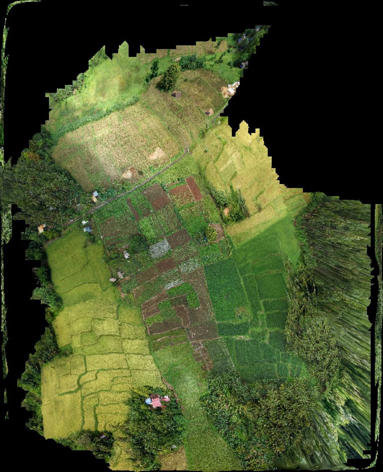 Reviewed orthomosaic preview — City of Tayabas drone capture · AD-9321007A