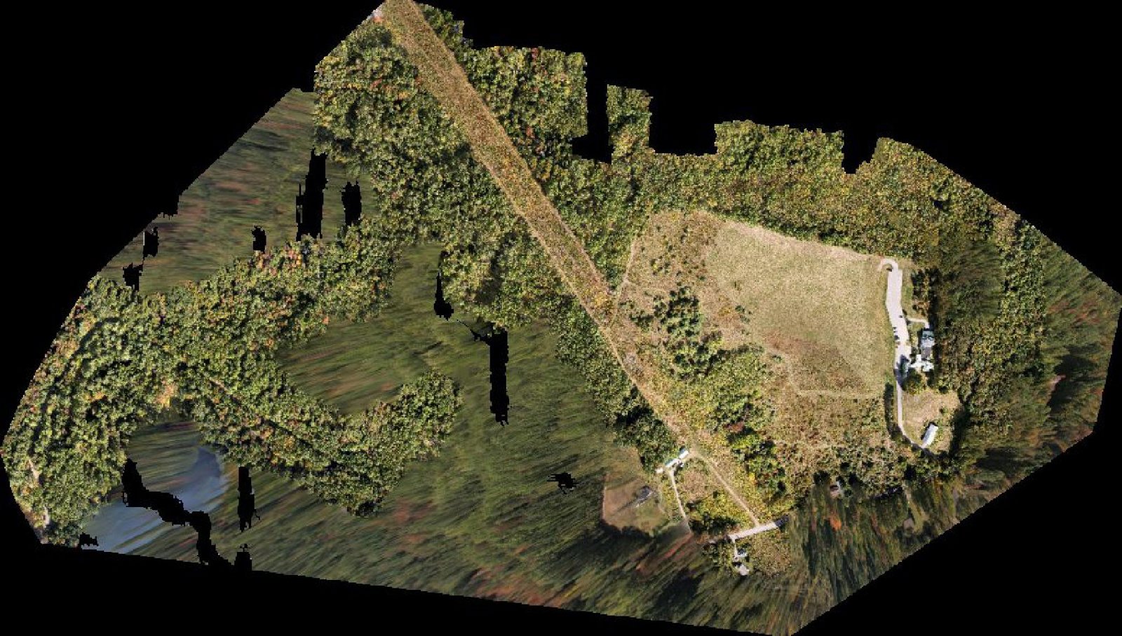 Reviewed orthomosaic preview — Hallowell drone capture · AD-CCF66D3C
