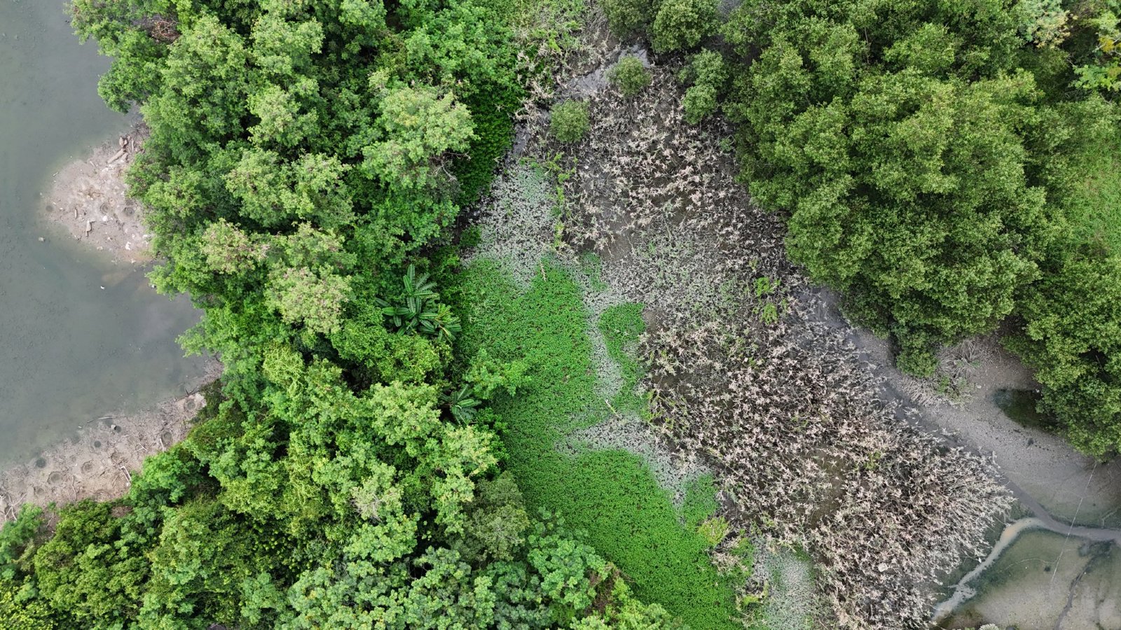 Selected drone photograph — New Territories drone capture · AD-1AE0B55D