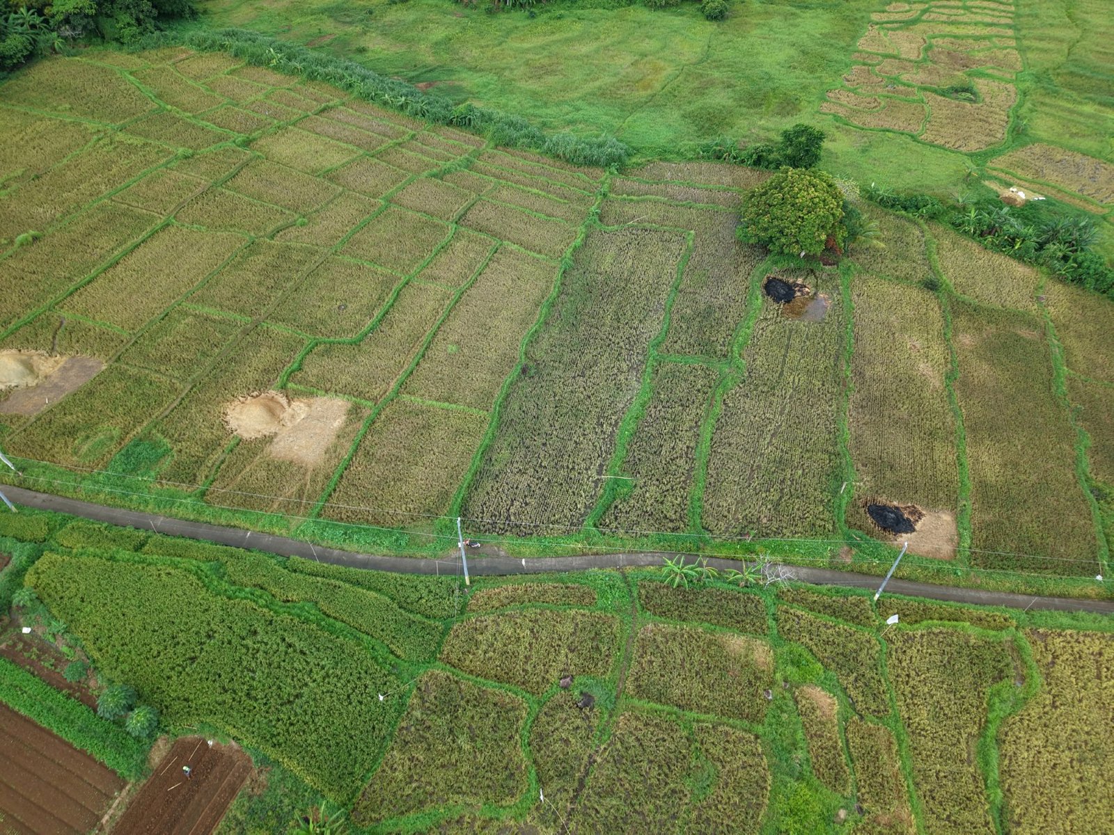 Selected drone photograph — City of Tayabas drone capture · AD-9321007A