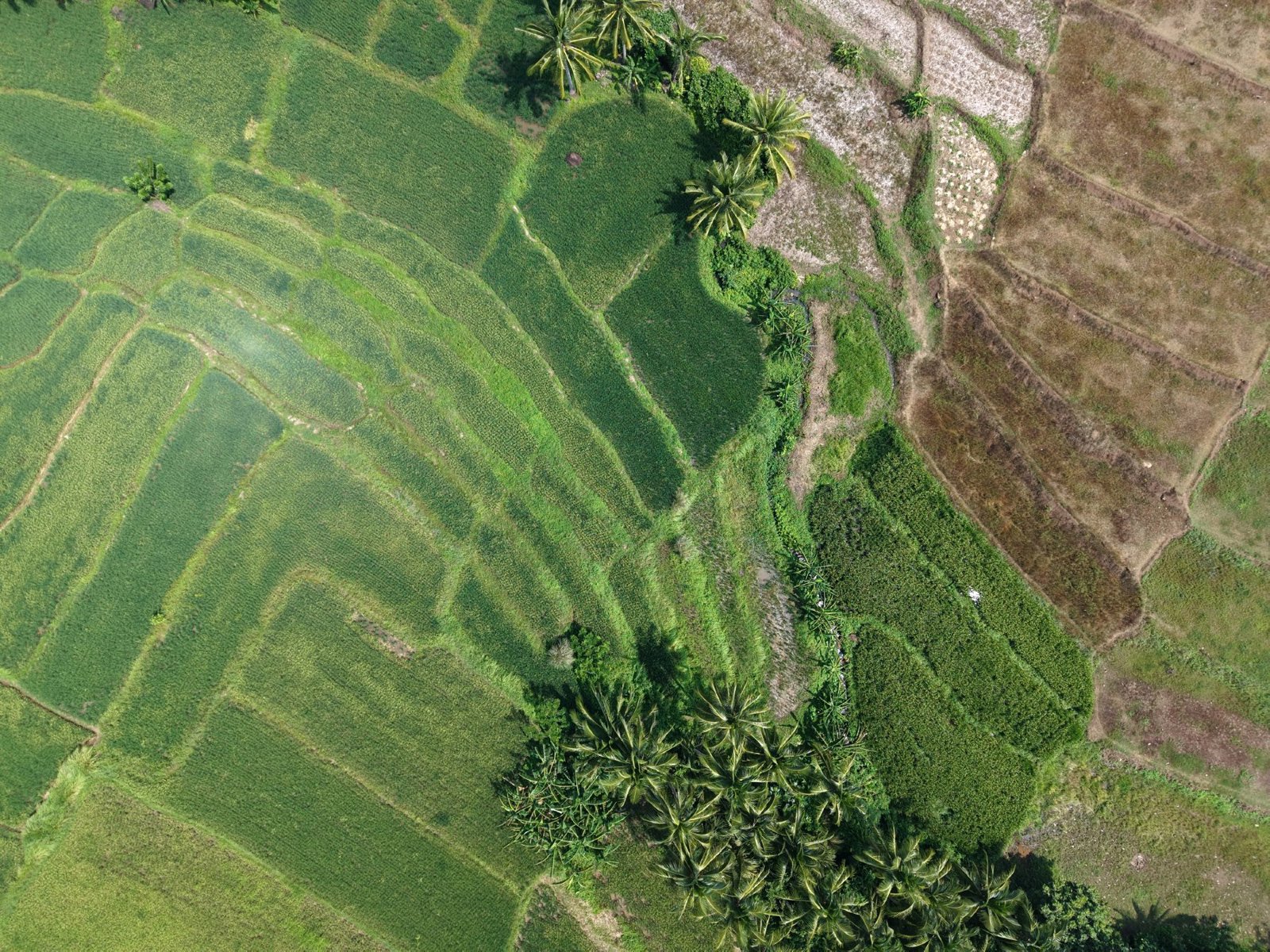 Selected drone photograph — City of Tayabas drone capture · AD-5FFD294C