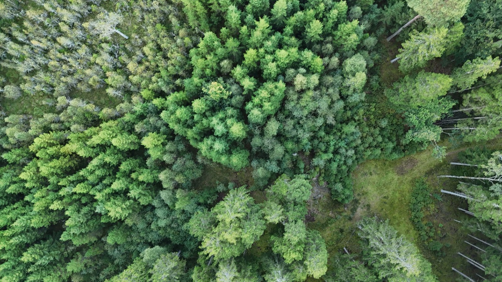 Selected drone photograph — Hallands län drone capture · AD-0EE9FB2A