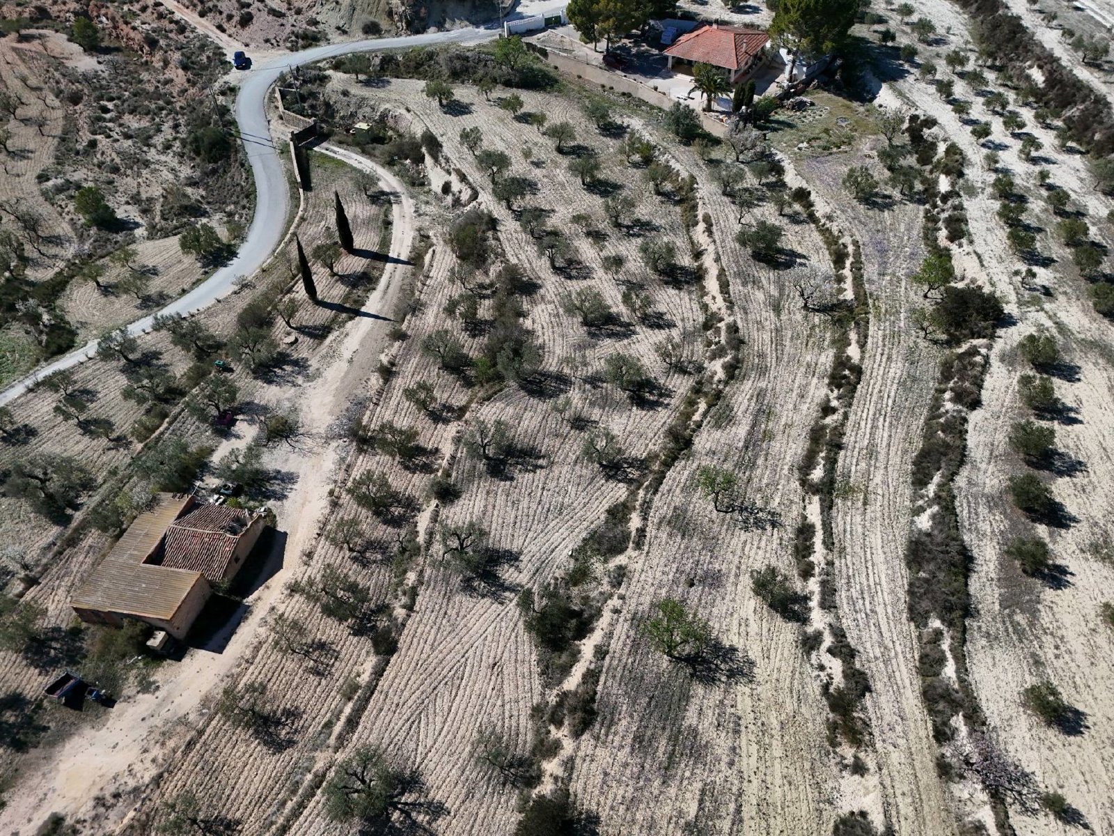 Selected drone photograph — Alicante drone capture · AD-46D7C719