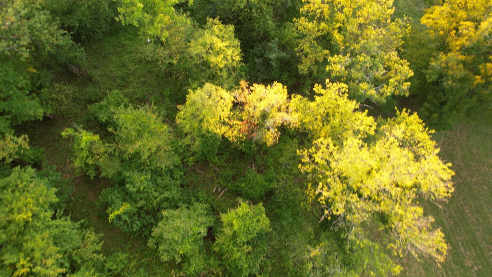 Selected drone photograph — Prince George's County drone capture · AD-25694818